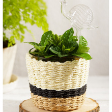 paper string plaited flower pots planters glass pot